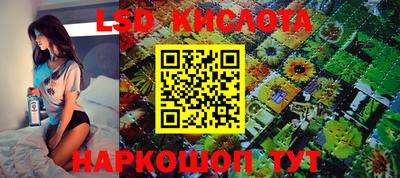 прущие крисы Гатчина