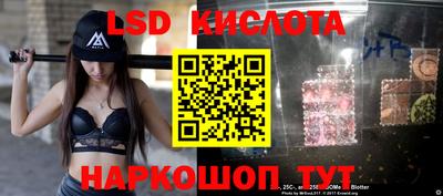 прущие крисы Гатчина