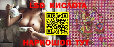 прущие крисы Гатчина