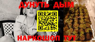 прущие крисы Гатчина