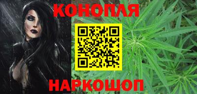 PSILOCYBIN Гай