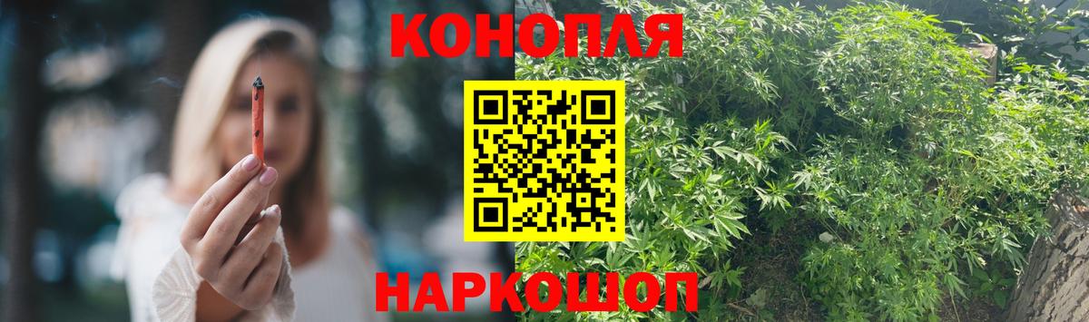 Бошки Шишки планчик Вологда